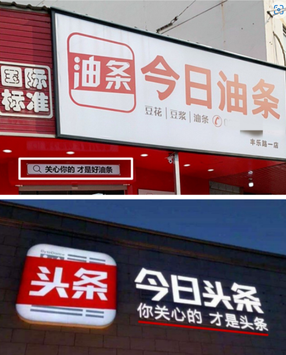 上海新闻综合频道：城市脉搏的忠实记录者